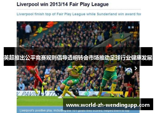 英超推出公平竞赛规则倡导透明转会市场推动足球行业健康发展 英超推出公平竞赛规则倡导透明转会市场推动足球行业健康发展