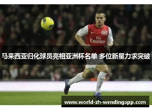 马来西亚归化球员亮相亚洲杯名单 多位新星力求突破