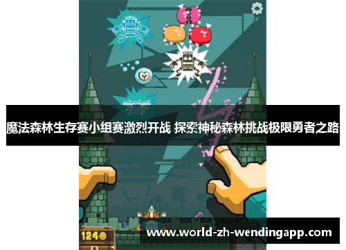 魔法森林生存赛小组赛激烈开战 探索神秘森林挑战极限勇者之路