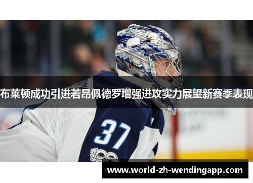 布莱顿成功引进若昂佩德罗增强进攻实力展望新赛季表现