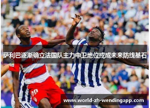 萨利巴逐渐确立法国队主力中卫地位或成未来防线基石 萨利巴逐渐确立法国队主力中卫地位或成未来防线基石